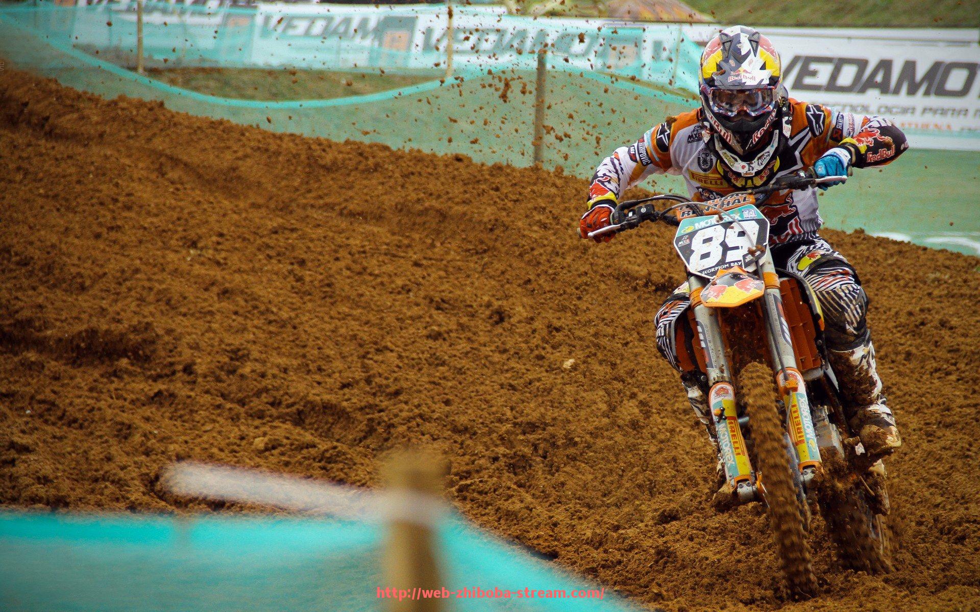 直播吧-中国健身器材市场分布与品牌分析：中国各地区的健身器材市场概况与品牌分析